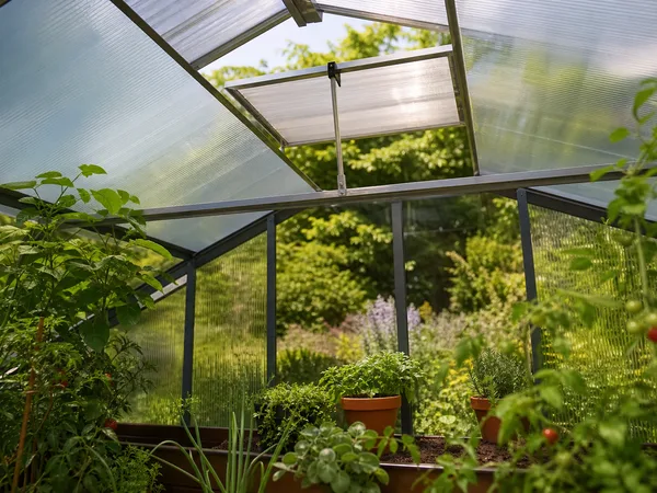 Ouvre-fenêtre automatique installé sur une lucarne de serre en polycarbonate